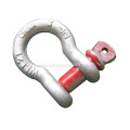 Forged D Shackle Galvanised